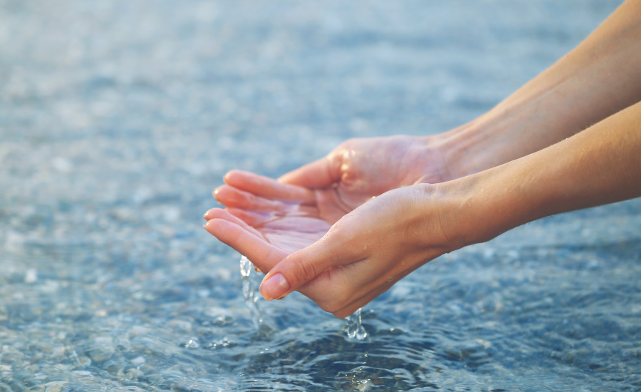 Propiedades curativas y nutritivas del agua de mar o plasma marino